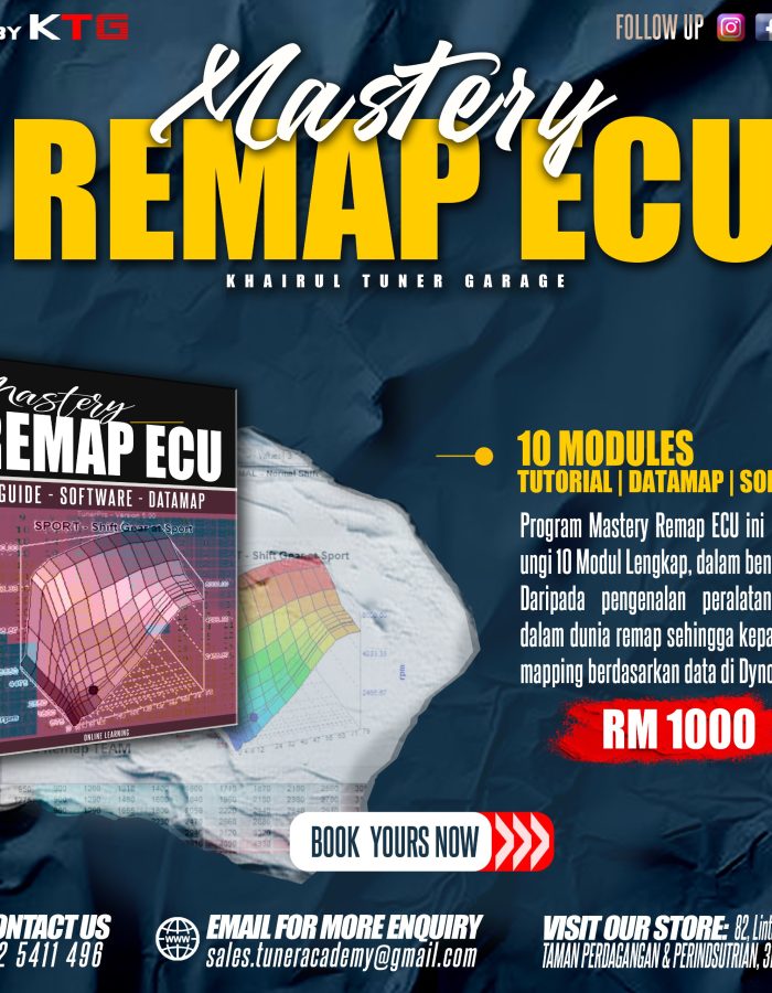 Mastery Remap ECU